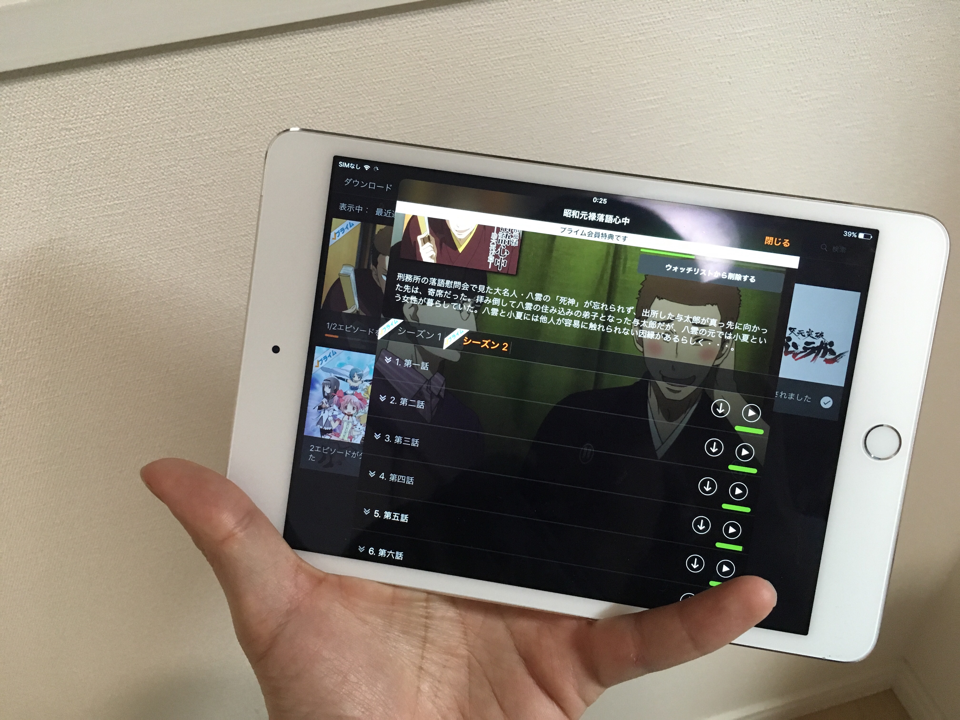 iPad mini4 : 動画再生