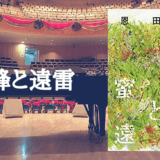 音楽が聴こえてくる小説『蜜蜂と遠雷』を読んだ感想♪直木賞＆本屋大賞をW受賞するのも納得の名作【恩田陸】