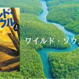 垣根 涼介のハードボイルド小説『ワイルド・ソウル』を読んだ感想｜日本政府への痛快な復讐劇が最高の傑作