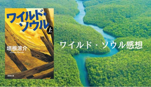 垣根 涼介のハードボイルド小説『ワイルド・ソウル』を読んだ感想｜日本政府への痛快な復讐劇が最高の傑作